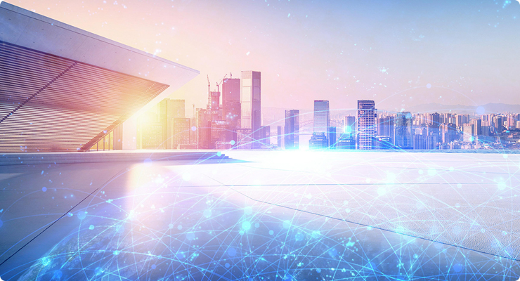 芯太阳集团简介